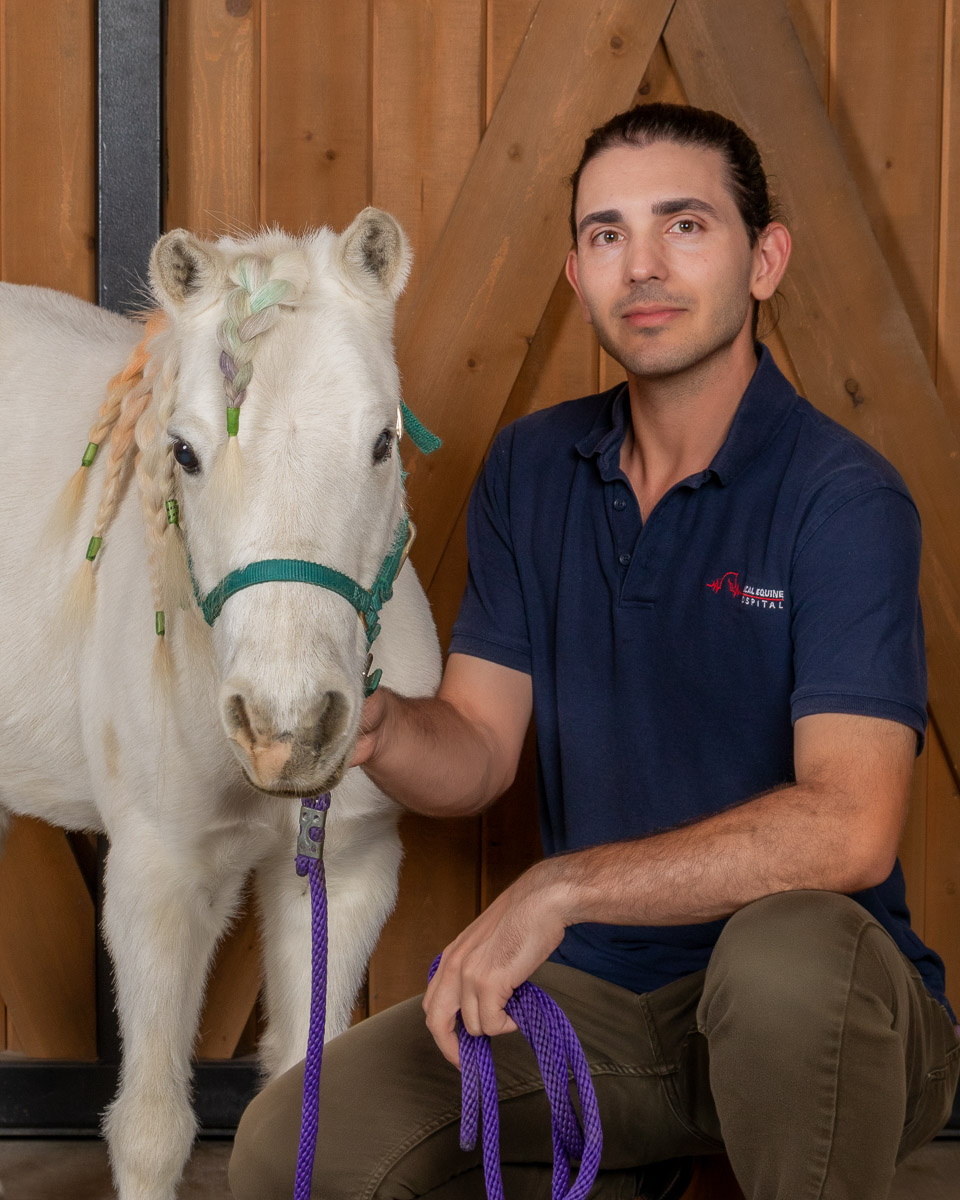 Veterinary Assistant, SoCal Equine Hospital, Equine Vet, Vet Tech, Equine Veterinarian, Veterinarian