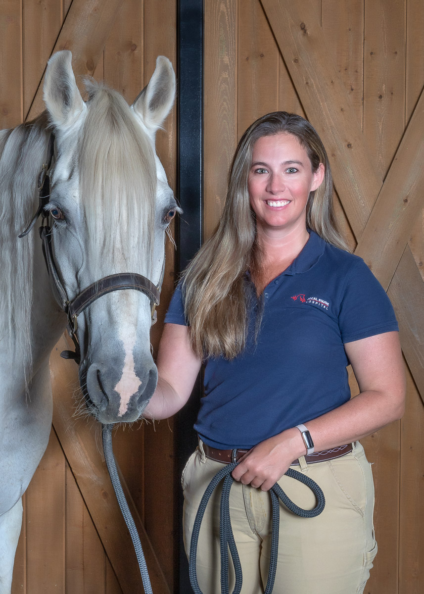 Veterinary Assistant, SoCal Equine Hospital, Equine Vet, Vet Tech, Equine Veterinarian, Veterinarian