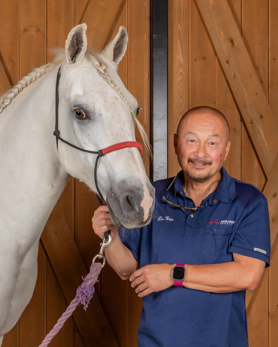 Veterinary Assistant, SoCal Equine Hospital, Equine Vet, Vet Tech, Equine Veterinarian, Veterinarian