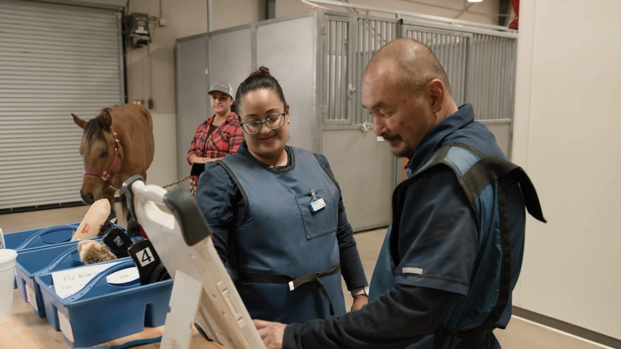 Rehabilitation & Recovery