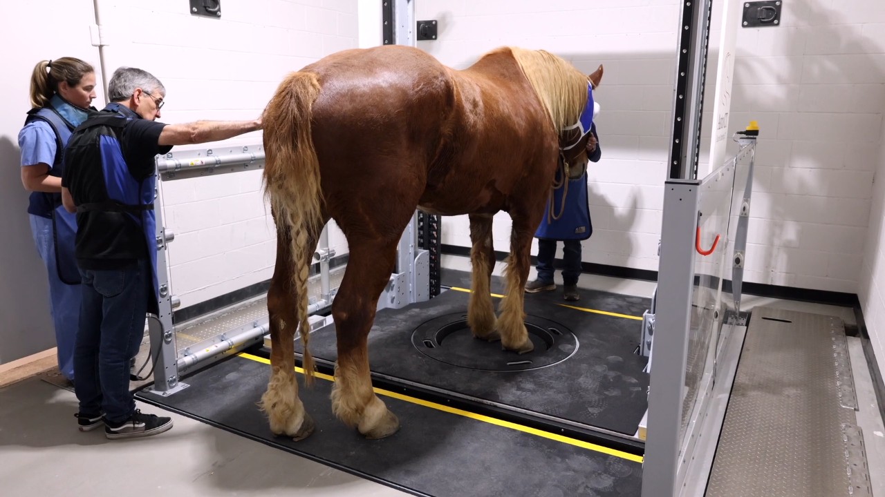 Advanced Imaging, Diagnostics & Treatments