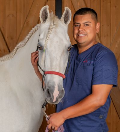 Veterinary Assistant, SoCal Equine Hospital, Equine Vet, Vet Tech, Equine Veterinarian, Veterinarian