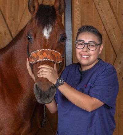 Veterinary Assistant, SoCal Equine Hospital, Equine Vet, Vet Tech, Equine Veterinarian, Veterinarian