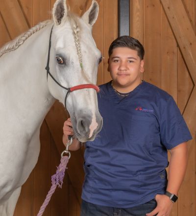 Veterinary Assistant, SoCal Equine Hospital, Equine Vet, Vet Tech, Equine Veterinarian, Veterinarian